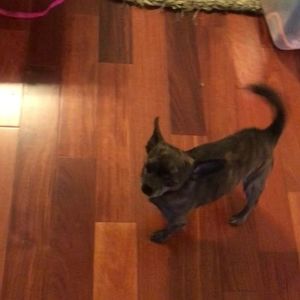 Meet your Posher, Candace